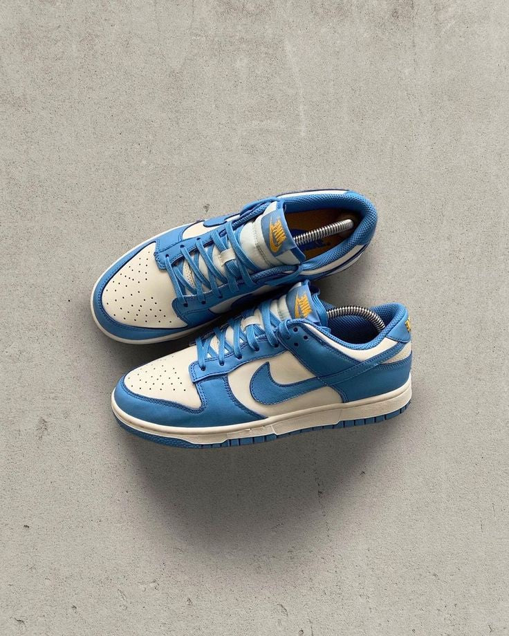 NIKE DUNK LOW COAST