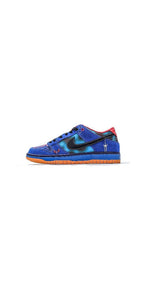 NIKE SB DUNK SPIDER LOW