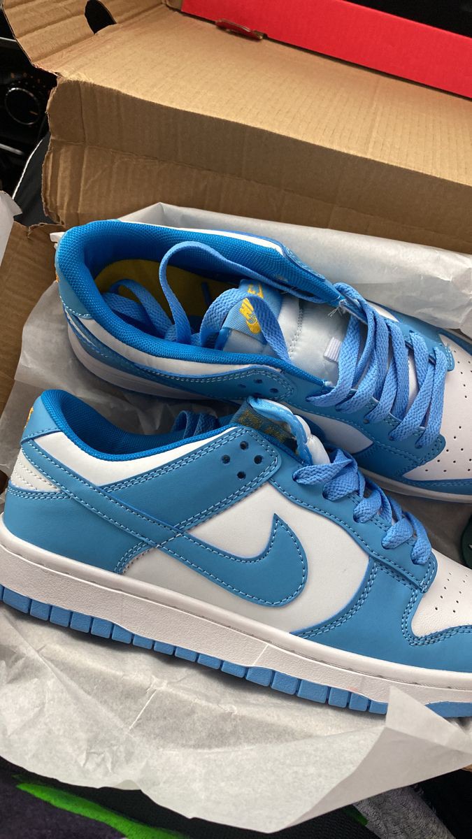 NIKE DUNK LOW COAST