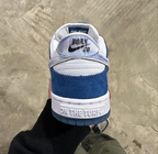 NIKE SB DUNK X RAISED