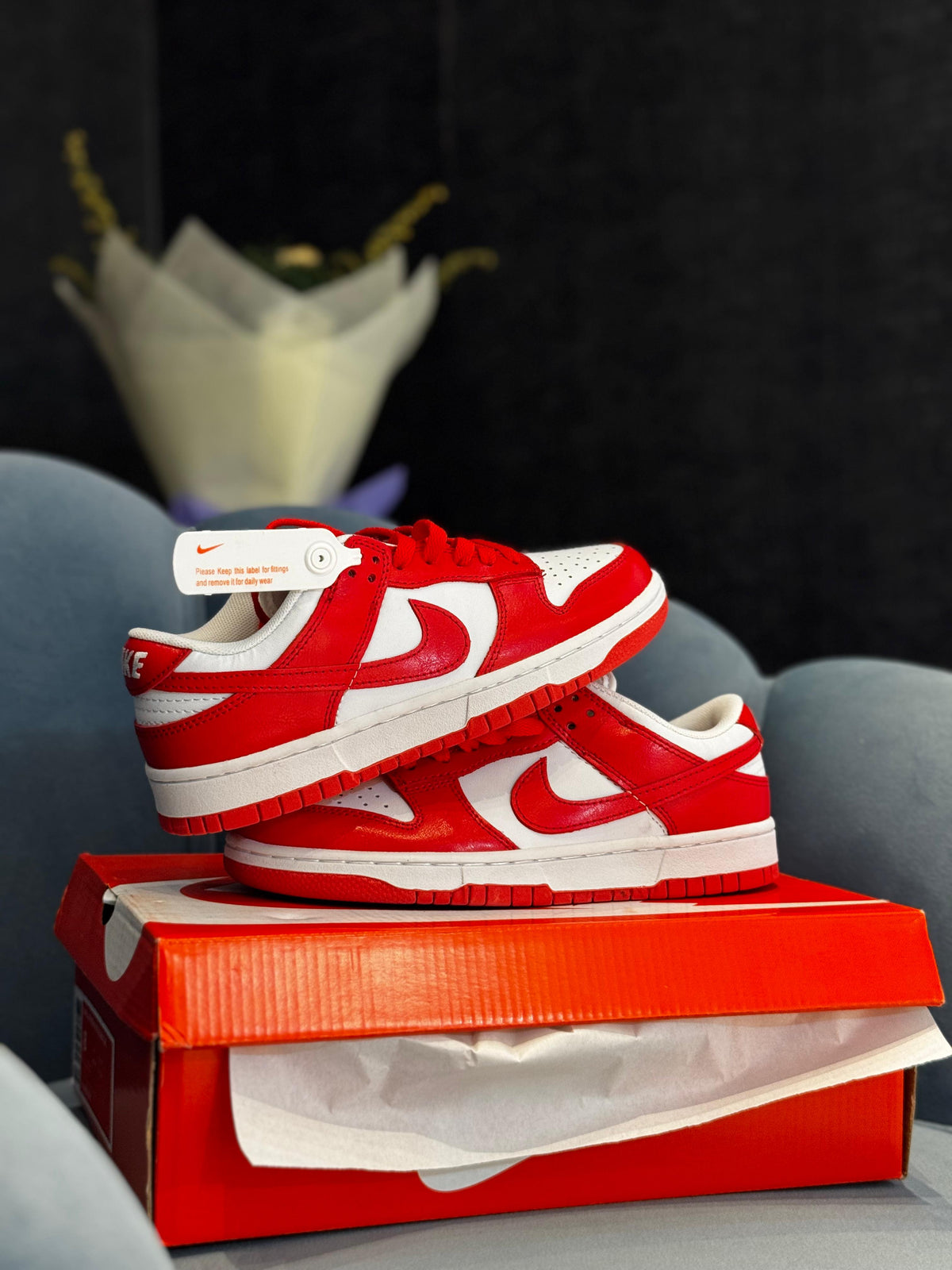 NIKE SB DUNK GYM RED