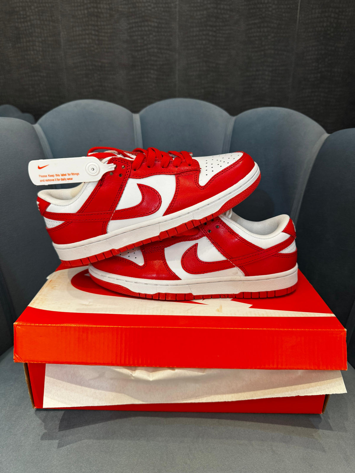 NIKE SB DUNK GYM RED