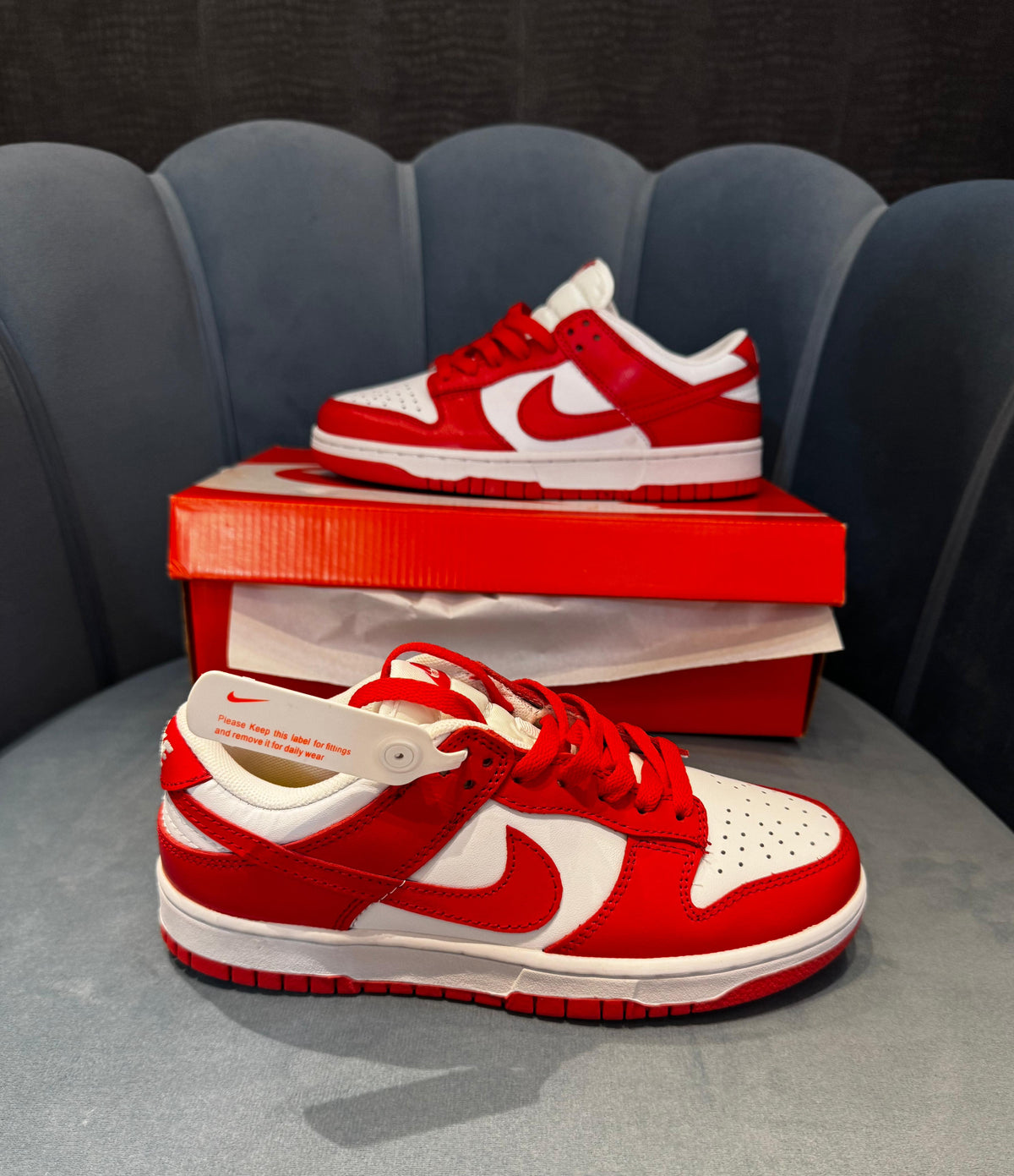 NIKE SB DUNK GYM RED