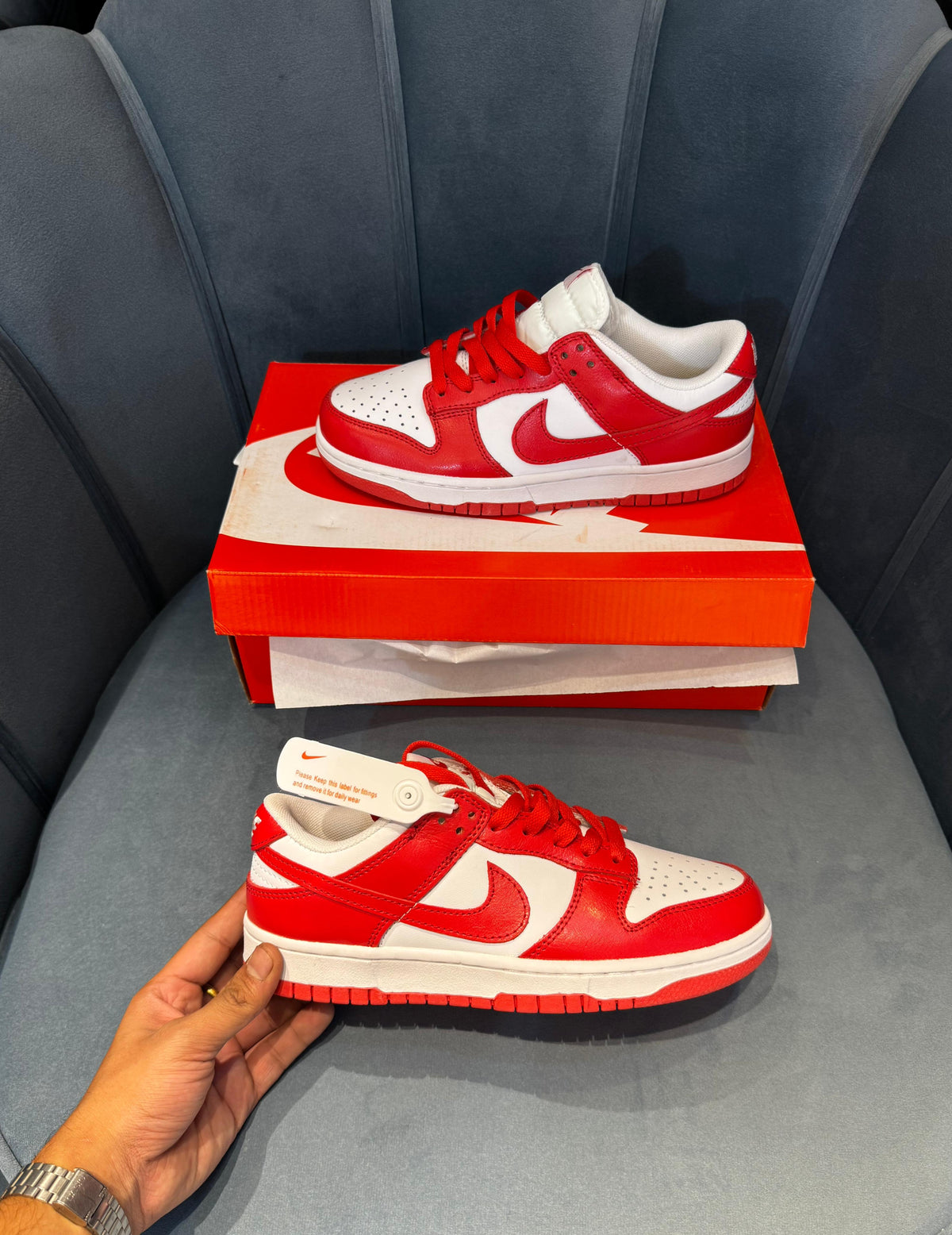 NIKE SB DUNK GYM RED
