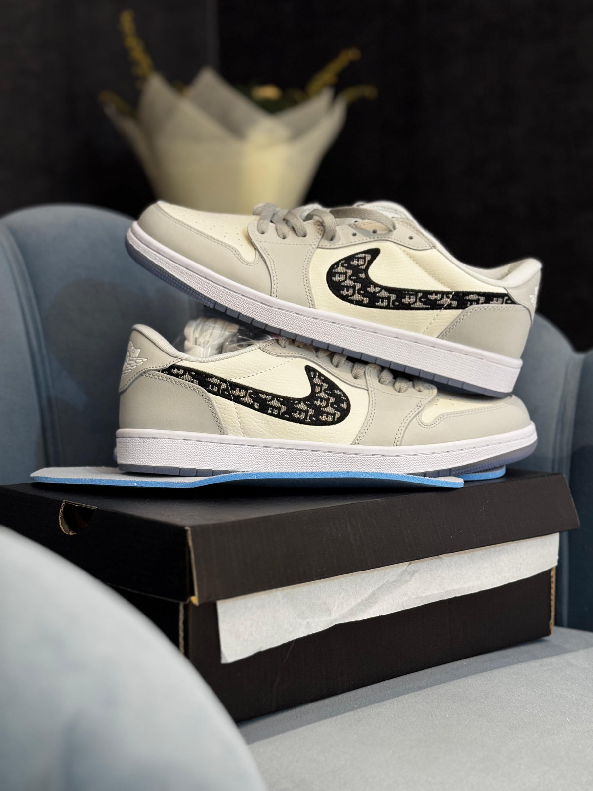 AIR JORDAN LOW X DIOR 1