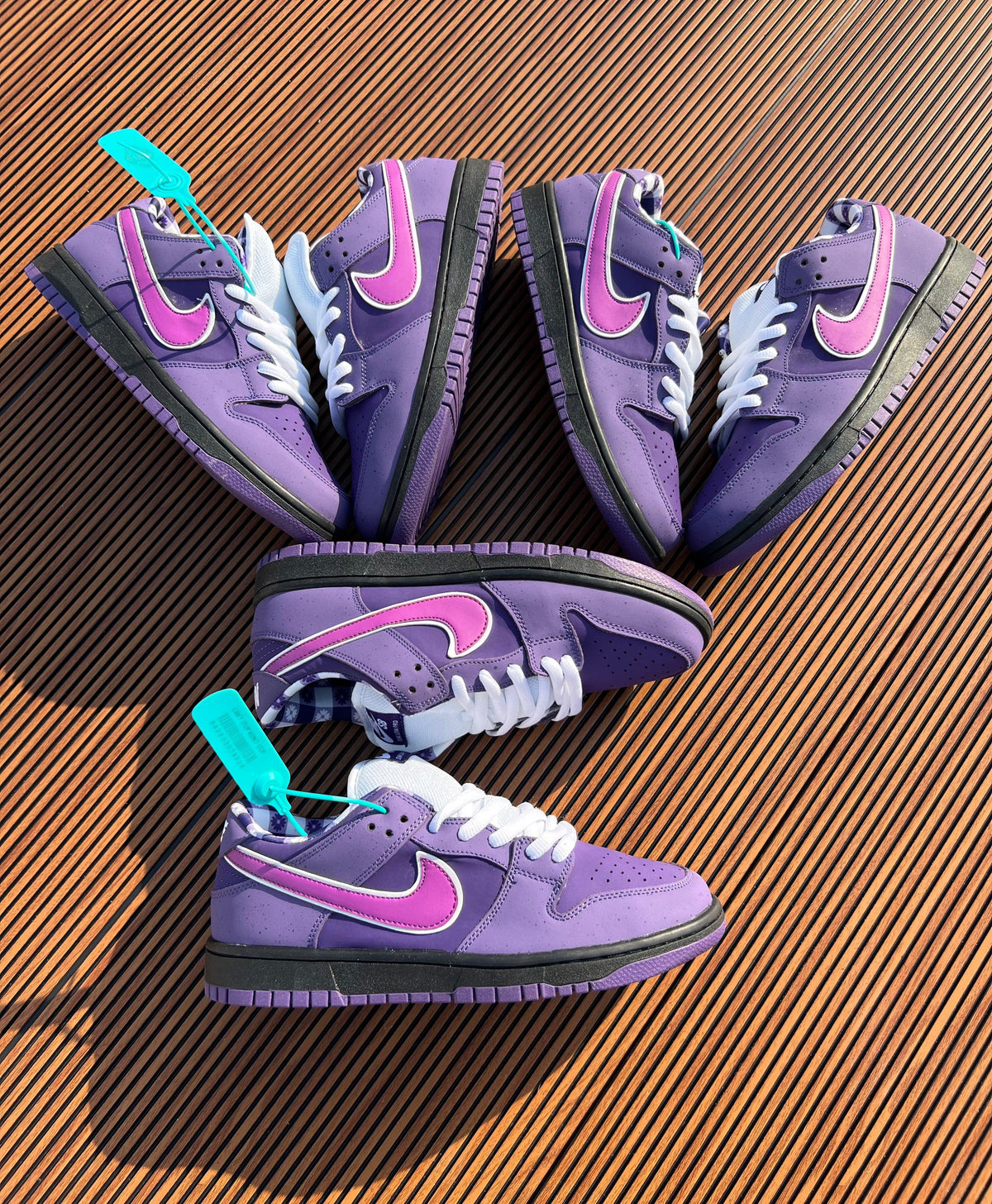 NIKE SB DUNK LOBSTER PURPLE
