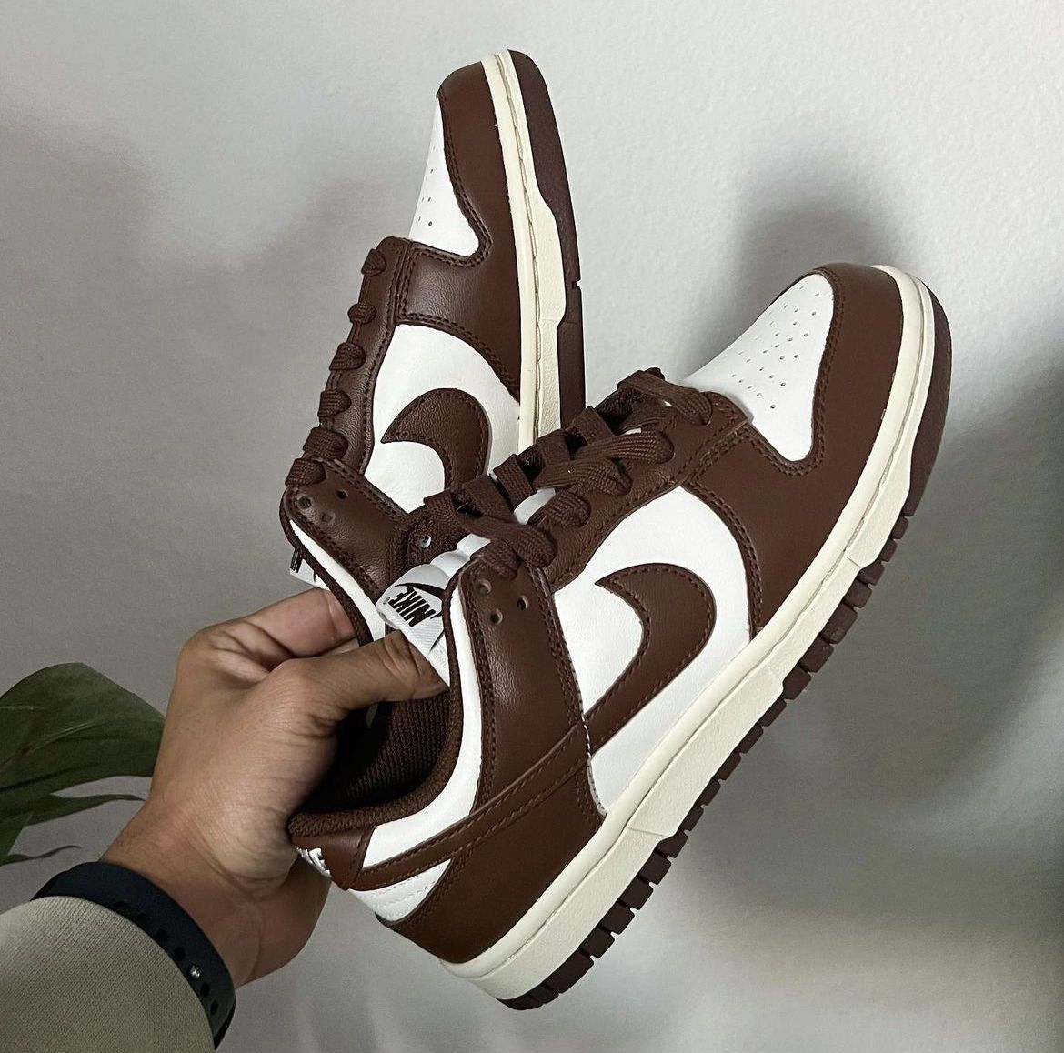 NIKE SB DUNK BROWN