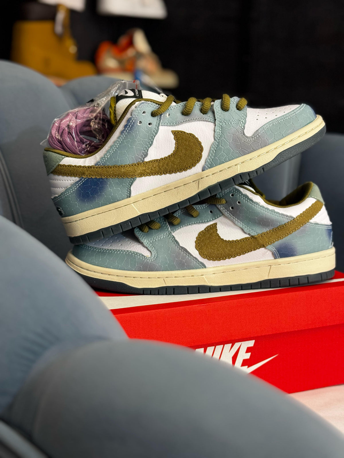 NIKE SB DUNK LOW ALEXIS SABLONE CHAMELEON