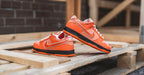 NIKE SB DUNK LOW LOBSTER ORANGE