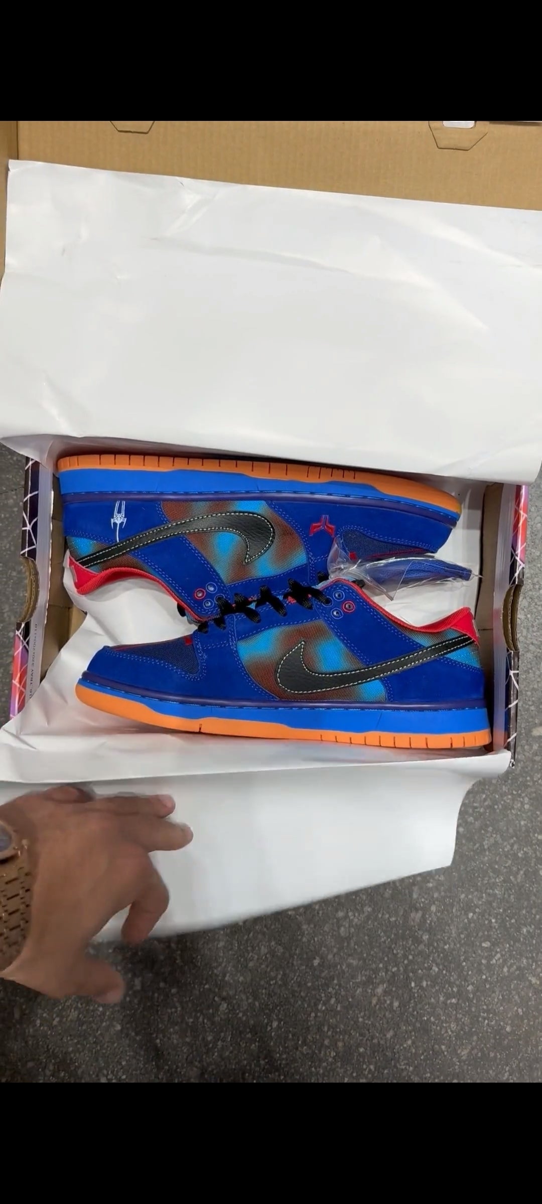 NIKE SB DUNK SPIDER LOW