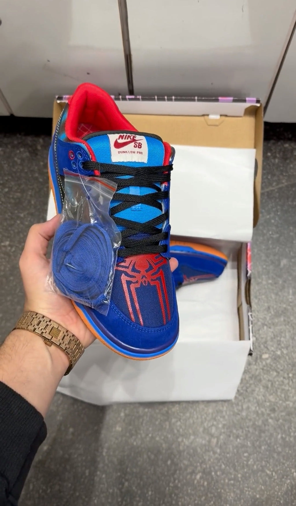 NIKE SB DUNK SPIDER LOW