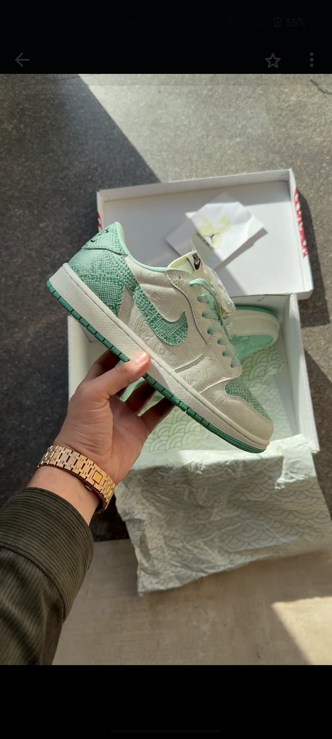 NIKE SB DUNK YEAR OF SNAKE 2025 U.A