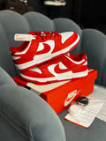 NIKE SB DUNK RED