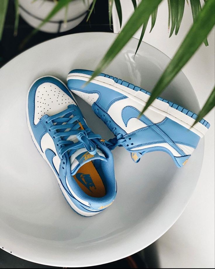 NIKE DUNK LOW COAST