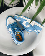 NIKE DUNK LOW COAST