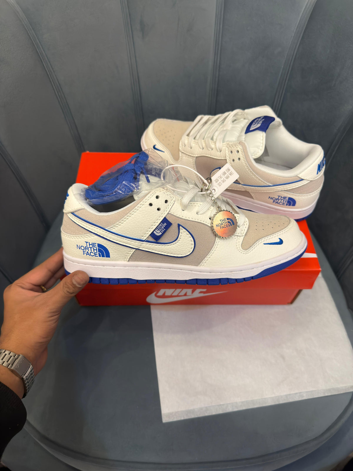 NIKE SB  DUNK X NORTH FACE
