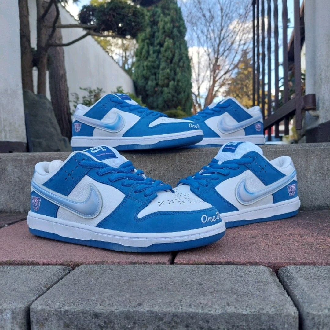 NIKE SB DUNK THE BORNE X RAISED