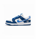 NIKE SB DUNK THE BORNE X RAISED