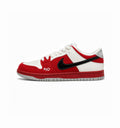 NIKE SB DUNK SKATEBOARD LOW ROLLER DERBY