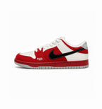 NIKE SB DUNK SKATEBOARD LOW ROLLER DERBY