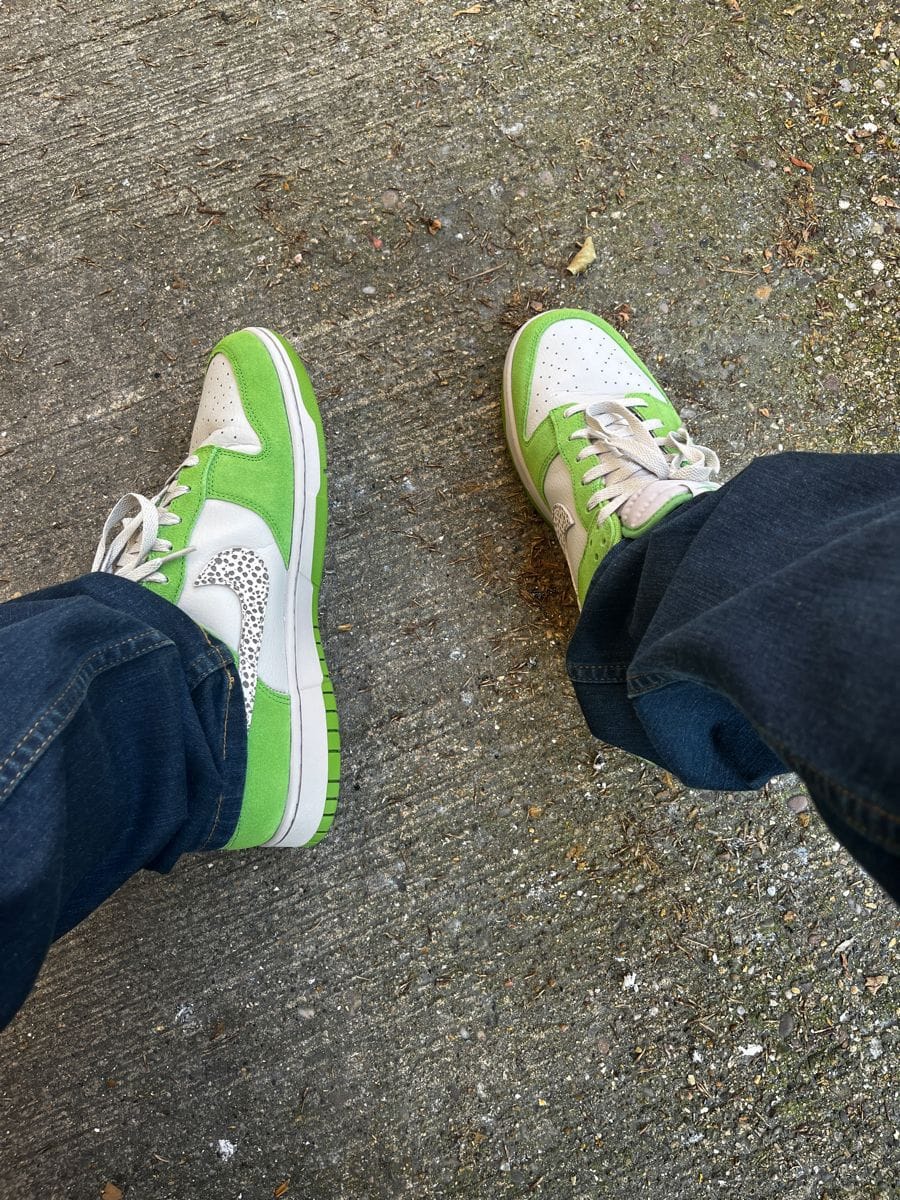 NIKE SB DUNK CHLOROPHYLL