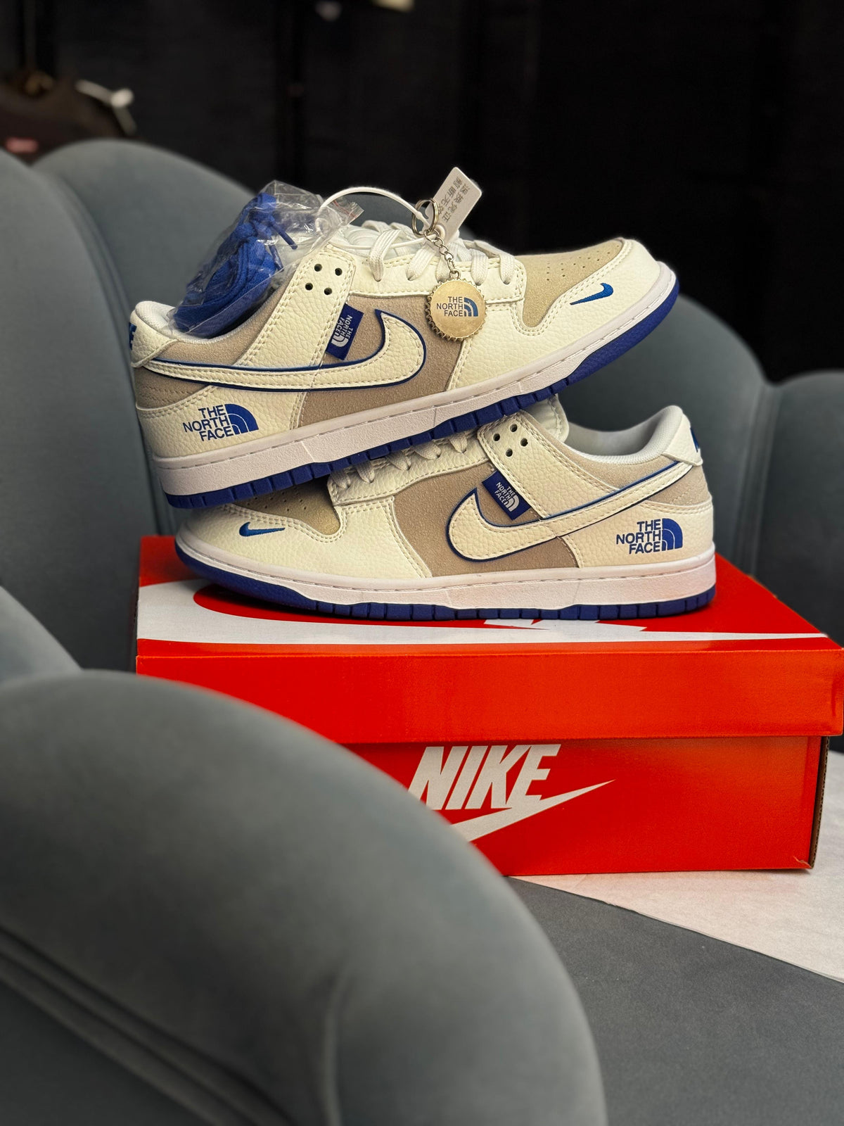 NIKE SB  DUNK X NORTH FACE