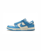 NIKE DUNK LOW COAST